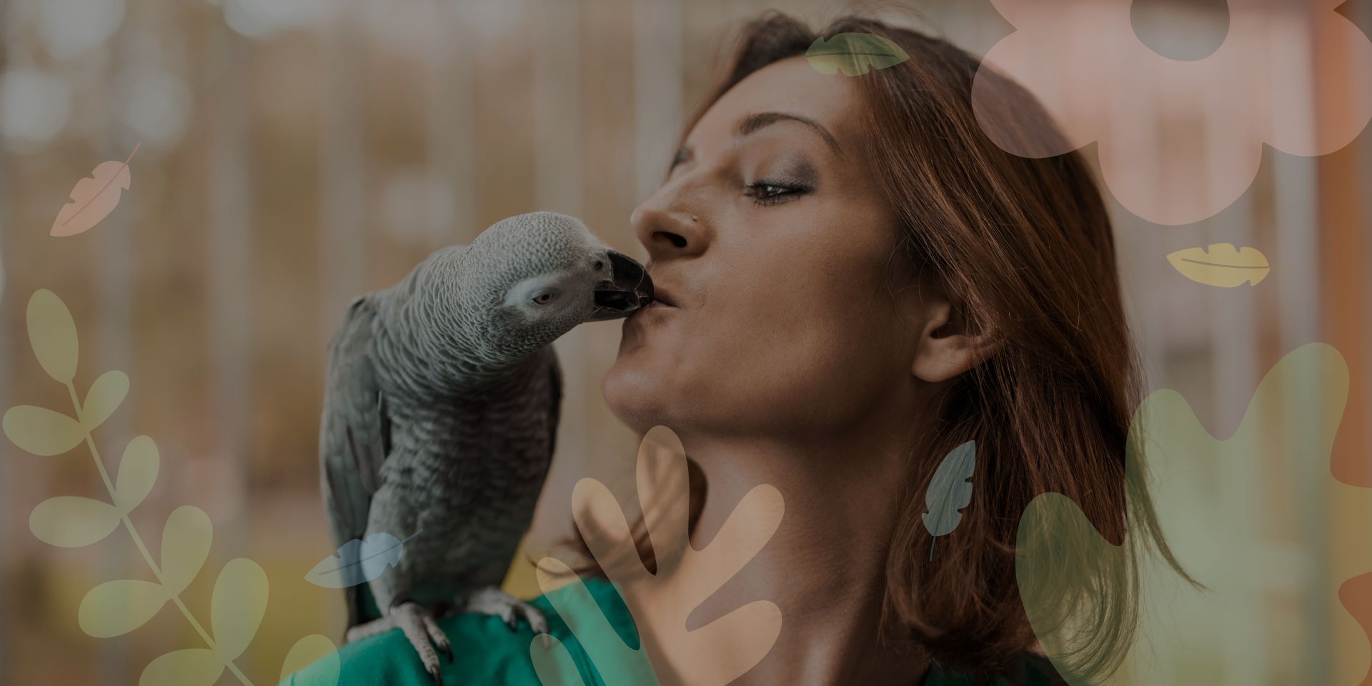 signs parrot likes you