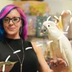 Where to Get a Parrot