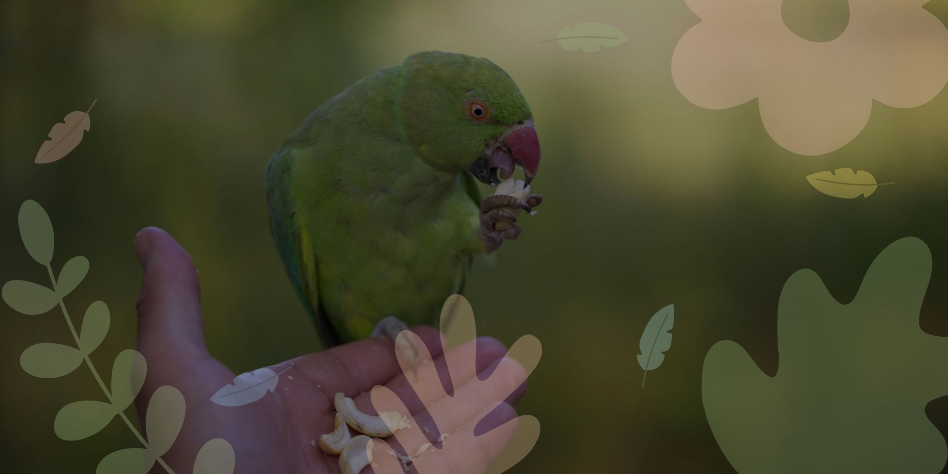 are parrots right for you