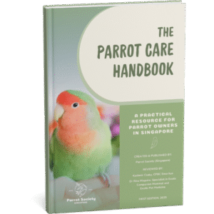 Home [parrotsocietysg.org]