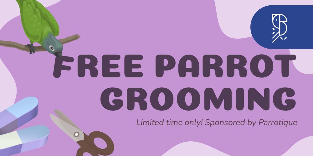 Friends of Parrots Day - Free Parrot Grooming