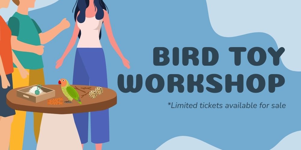 Friends of Parrots Day - Bird Toy Workshop