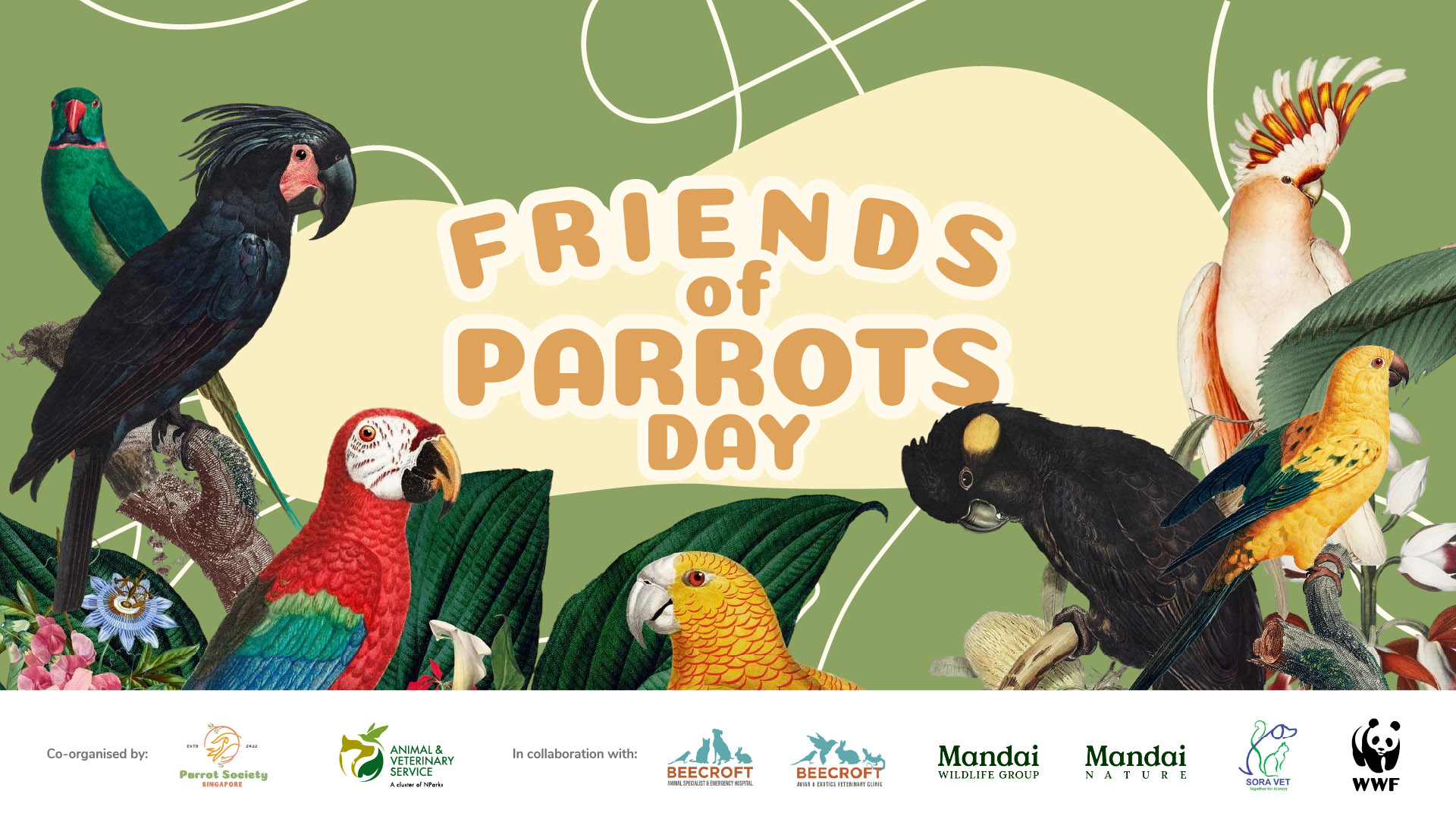 Friends of Parrots Day