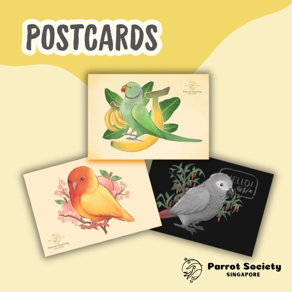 Postcards