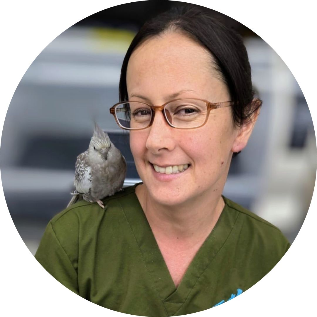 Dr Ellen