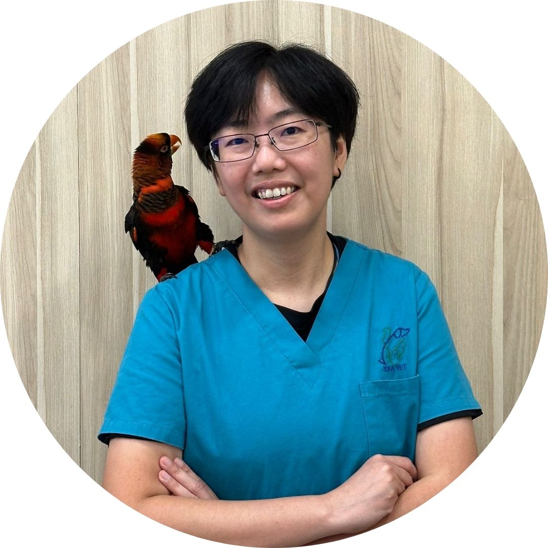 Dr Neo