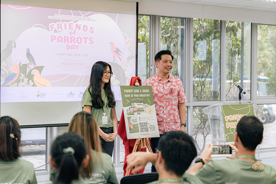 Friends of Parrots Day
